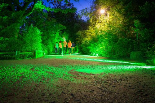Eventtechnik 17